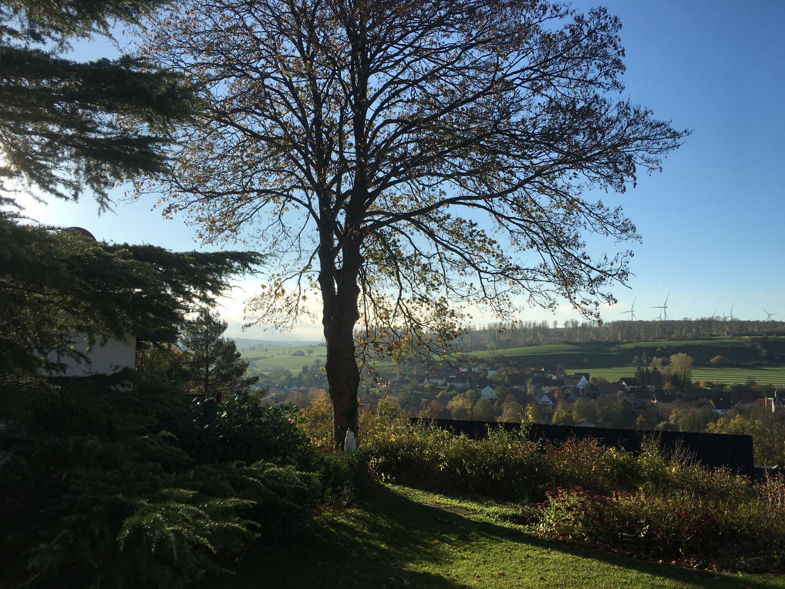 Bilder des Ferienhauses