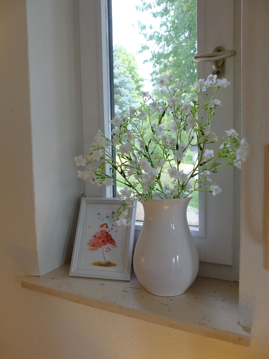 Bilder des Ferienhauses