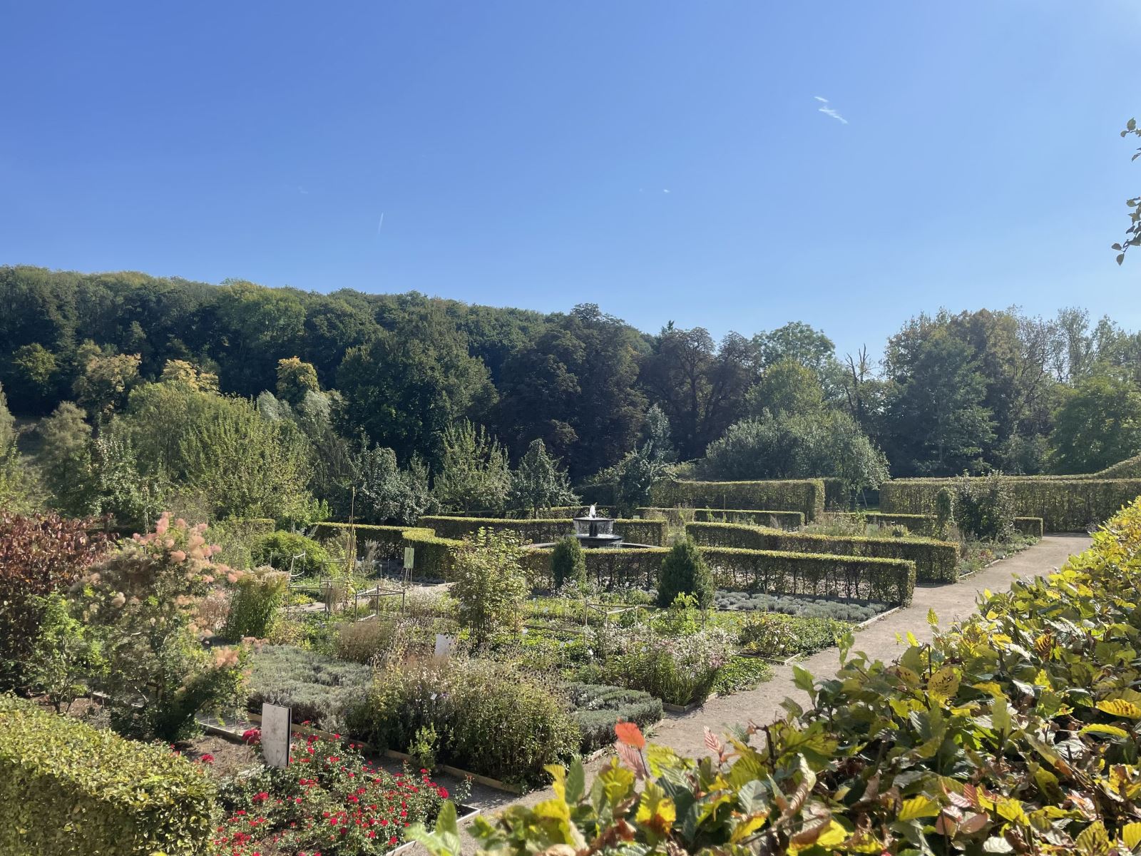 Bilder des Ferienhauses