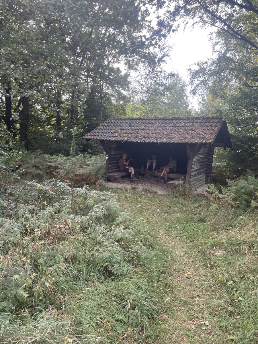 Bilder des Ferienhauses