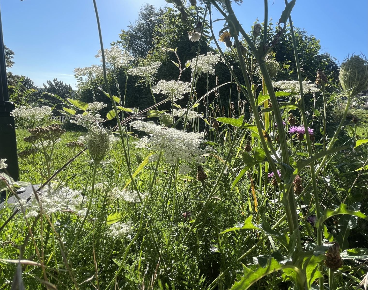 Bilder des Ferienhauses