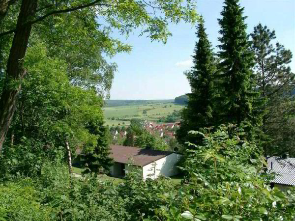 View over the park and the Altenau-valley