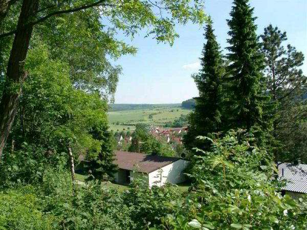 Uitzicht over het park en de Altenautal